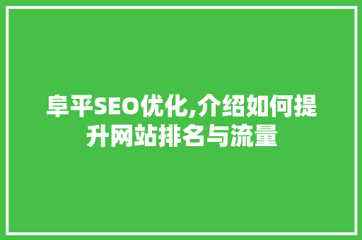 阜平SEO优化,介绍如何提升网站排名与流量  第1张