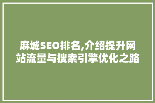 麻城SEO排名,介绍提升网站流量与搜索引擎优化之路