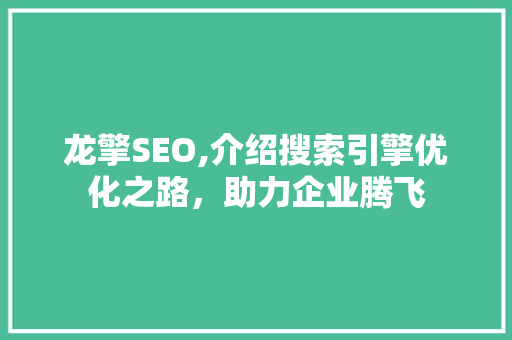 龙擎SEO,介绍搜索引擎优化之路，助力企业腾飞