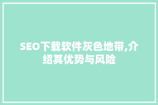 SEO下载软件灰色地带,介绍其优势与风险