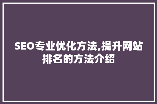 SEO专业优化方法,提升网站排名的方法介绍