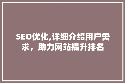 SEO优化,详细介绍用户需求，助力网站提升排名