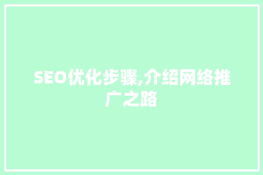 SEO优化步骤,介绍网络推广之路