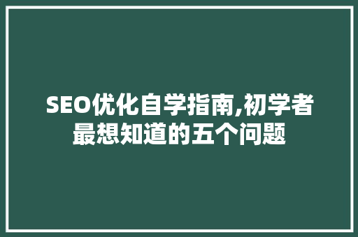SEO优化自学指南,初学者最想知道的五个问题