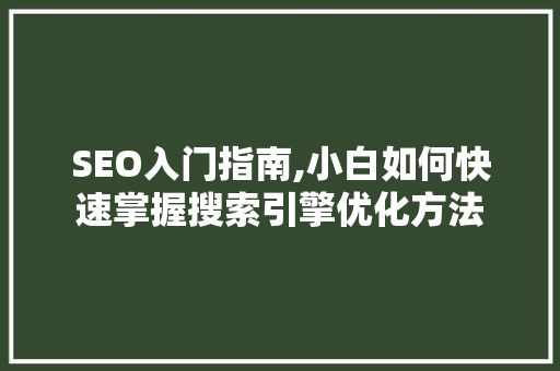 SEO入门指南,小白如何快速掌握搜索引擎优化方法