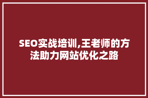 SEO实战培训,王老师的方法助力网站优化之路