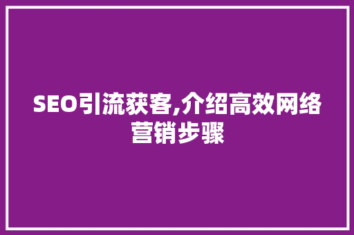 SEO引流获客,介绍高效网络营销步骤