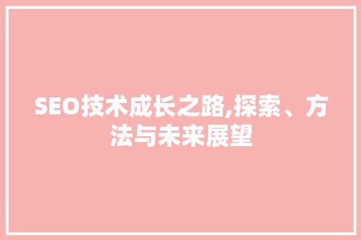 SEO技术成长之路,探索、方法与未来展望