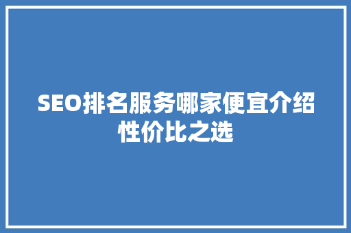 SEO排名服务哪家便宜介绍性价比之选