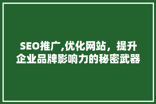 SEO推广,优化网站，提升企业品牌影响力的秘密武器