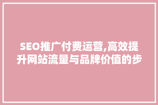 SEO推广付费运营,高效提升网站流量与品牌价值的步骤介绍