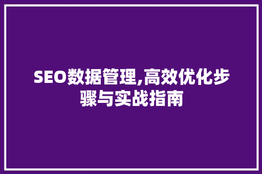 SEO数据管理,高效优化步骤与实战指南