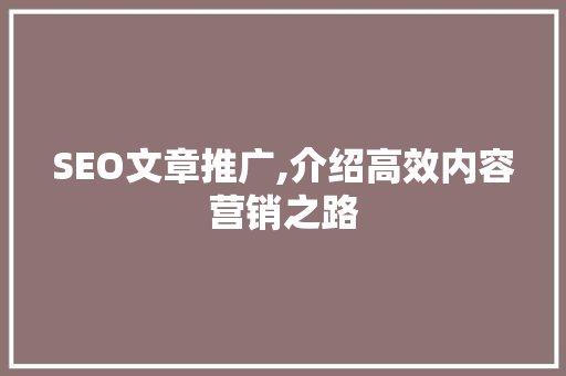 SEO文章推广,介绍高效内容营销之路