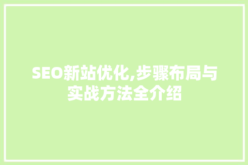 SEO新站优化,步骤布局与实战方法全介绍