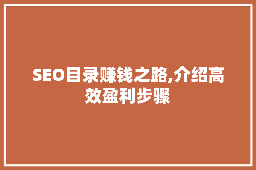 SEO目录赚钱之路,介绍高效盈利步骤