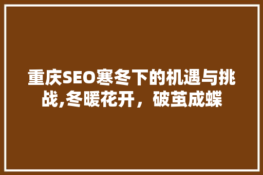 重庆SEO寒冬下的机遇与挑战,冬暖花开，破茧成蝶