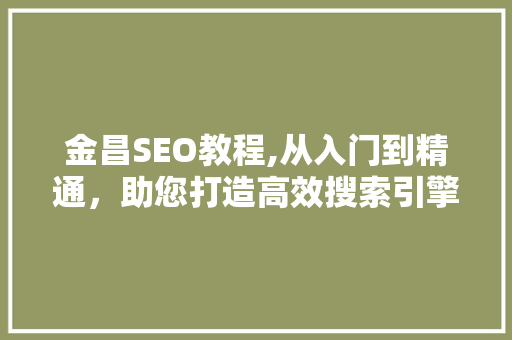 金昌SEO教程,从入门到精通，助您打造高效搜索引擎优化步骤