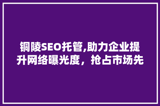 铜陵SEO托管,助力企业提升网络曝光度，抢占市场先机