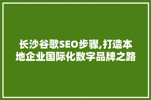 长沙谷歌SEO步骤,打造本地企业国际化数字品牌之路