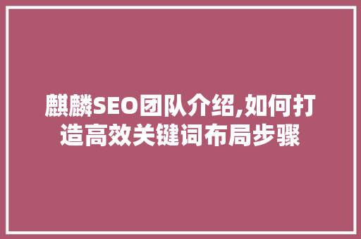 麒麟SEO团队介绍,如何打造高效关键词布局步骤