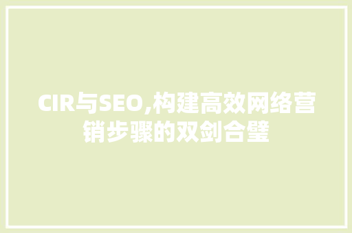 CIR与SEO,构建高效网络营销步骤的双剑合璧