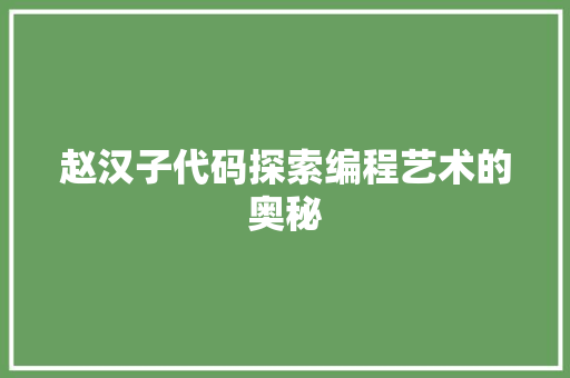 赵汉子代码探索编程艺术的奥秘