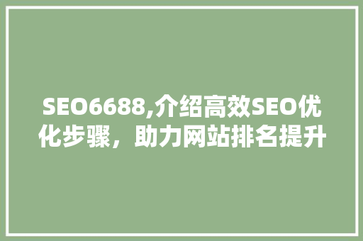 SEO6688,介绍高效SEO优化步骤，助力网站排名提升