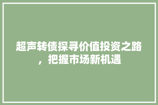 超声转债探寻价值投资之路，把握市场新机遇