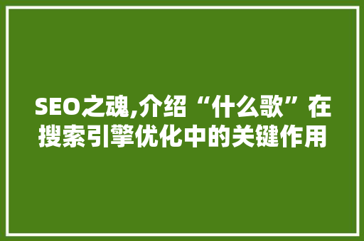 SEO之魂,介绍“什么歌”在搜索引擎优化中的关键作用