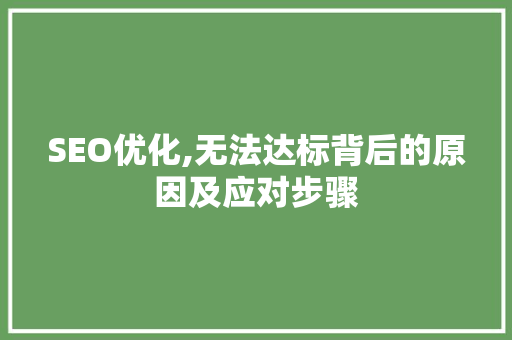 SEO优化,无法达标背后的原因及应对步骤