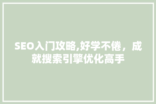 SEO入门攻略,好学不倦，成就搜索引擎优化高手