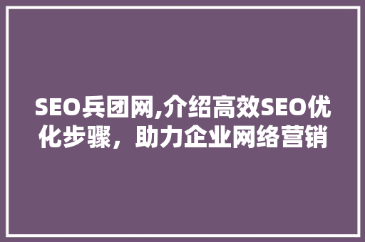 SEO兵团网,介绍高效SEO优化步骤，助力企业网络营销腾飞  第1张