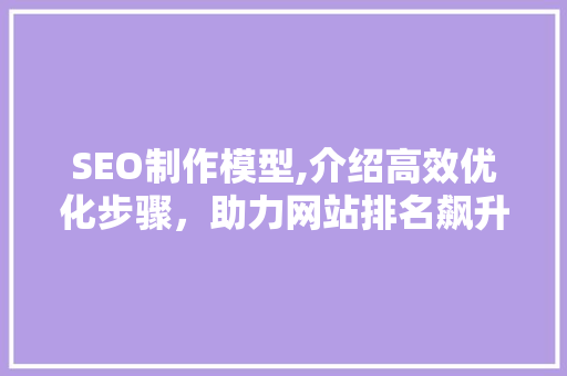SEO制作模型,介绍高效优化步骤，助力网站排名飙升