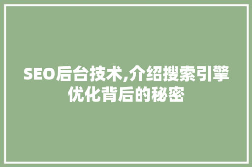 SEO后台技术,介绍搜索引擎优化背后的秘密