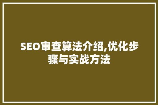 SEO审查算法介绍,优化步骤与实战方法
