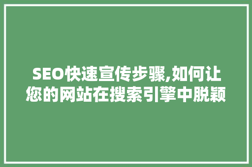 SEO快速宣传步骤,如何让您的网站在搜索引擎中脱颖而出