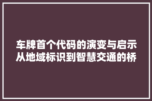 车牌首个代码的演变与启示从地域标识到智慧交通的桥梁