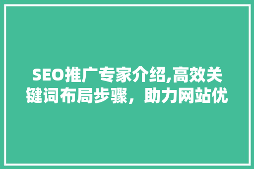 SEO推广专家介绍,高效关键词布局步骤，助力网站优化腾飞