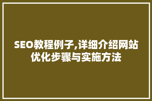SEO教程例子,详细介绍网站优化步骤与实施方法