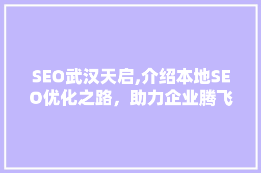 SEO武汉天启,介绍本地SEO优化之路，助力企业腾飞