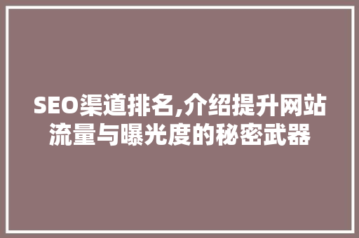 SEO渠道排名,介绍提升网站流量与曝光度的秘密武器