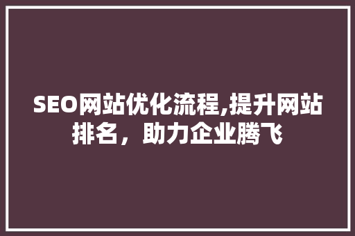 SEO网站优化流程,提升网站排名，助力企业腾飞