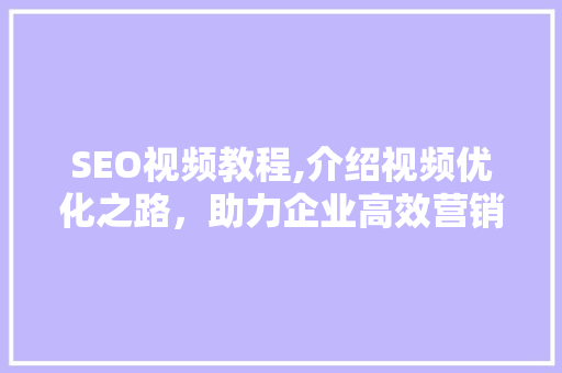 SEO视频教程,介绍视频优化之路，助力企业高效营销