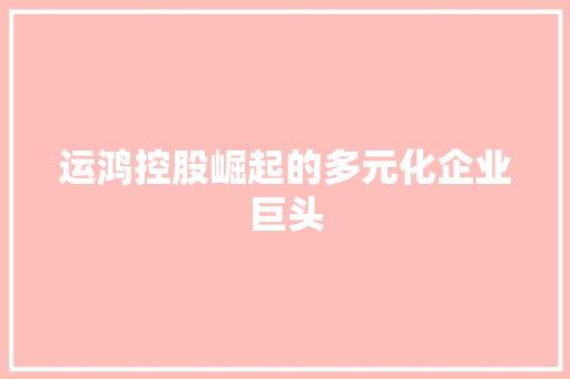 运鸿控股崛起的多元化企业巨头