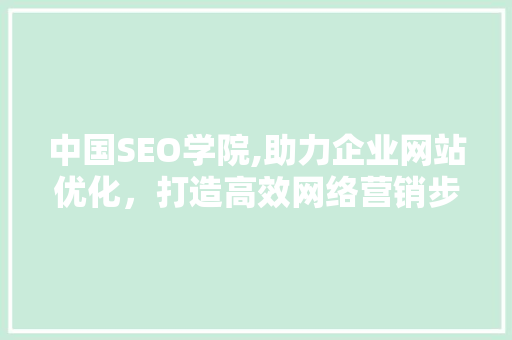 中国SEO学院,助力企业网站优化，打造高效网络营销步骤
