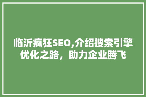 临沂疯狂SEO,介绍搜索引擎优化之路，助力企业腾飞  第1张