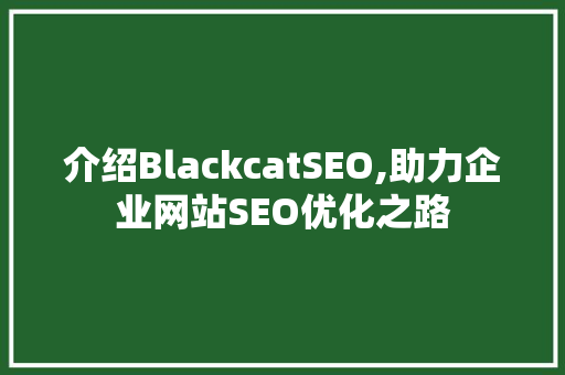 介绍BlackcatSEO,助力企业网站SEO优化之路