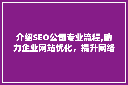 介绍SEO公司专业流程,助力企业网站优化，提升网络曝光度
