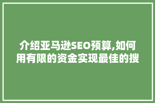 介绍亚马逊SEO预算,如何用有限的资金实现最佳的搜索优化效果