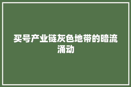 买号产业链灰色地带的暗流涌动